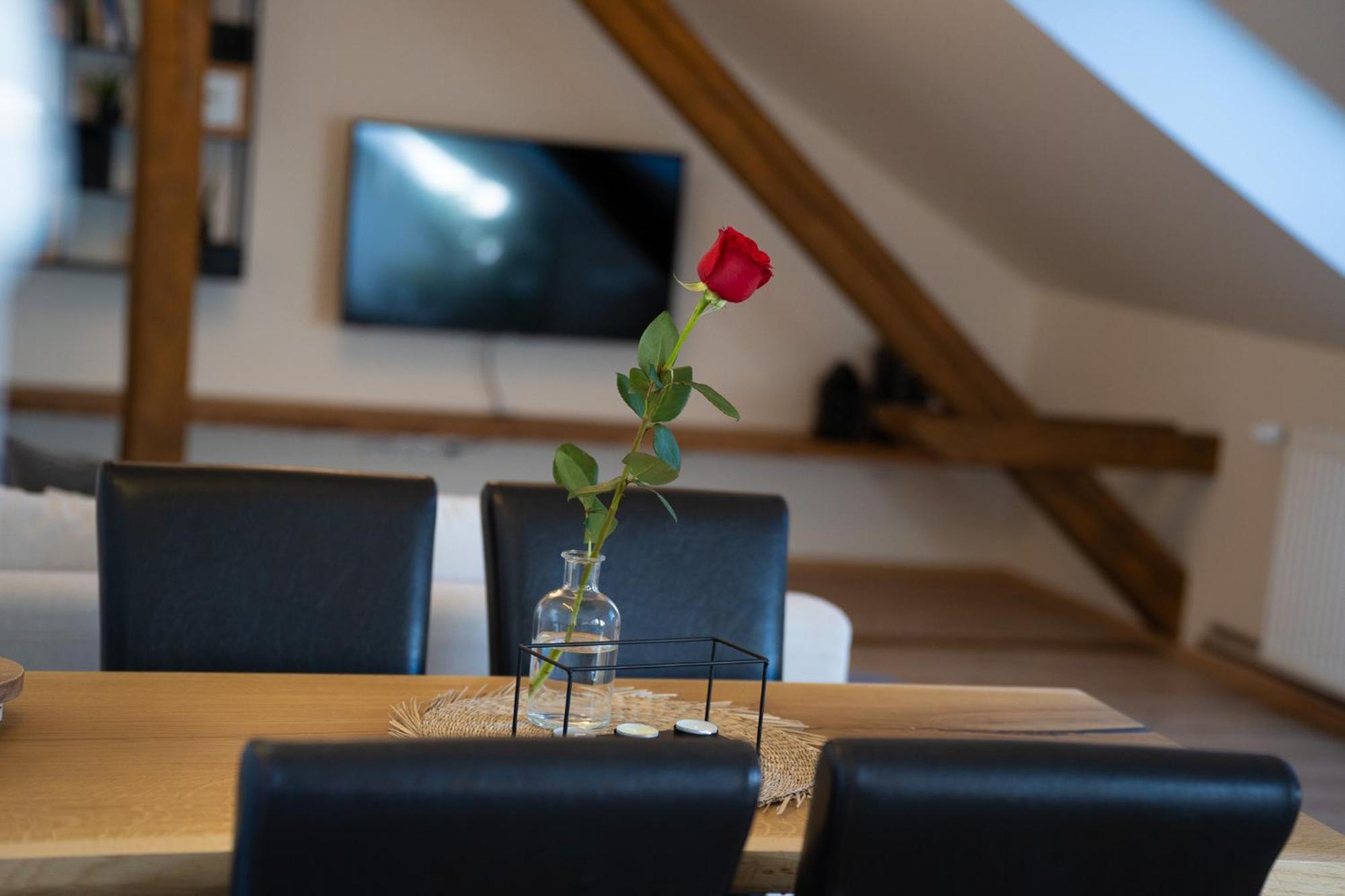 Apartmany & Wellness Revenite Jesionik Zewnętrze zdjęcie